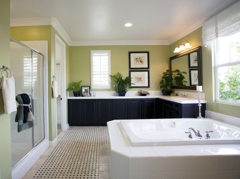 Master Bathroom Remodel